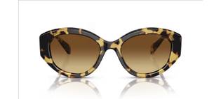 OCULOS SWAROVSKI SK6005